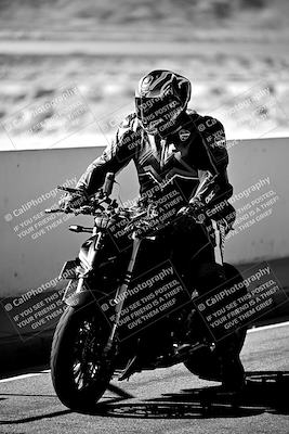 media/Mar-25-2024-Moto Forza (Mon) [[8d4319bd68]]/1-Around the Pits/